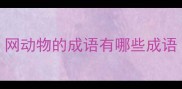 网动物的成语有哪些成语