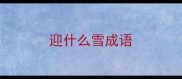 迎什么雪成语