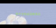 带平字的成语唯美的