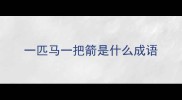 一匹马一把箭是什么成语