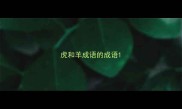 虎和羊成语的成语