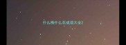 什么梅什么花成语大全