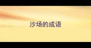 沙场的成语