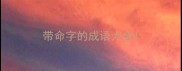 带命字的成语大全