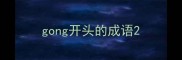 gong开头的成语