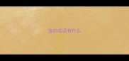 宝的成语有什么