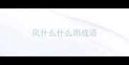 风什么什么雨成语