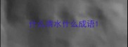 什么清水什么成语