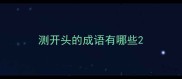 测开头的成语有哪些