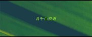 含千百成语
