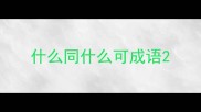什么同什么可成语