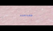 什么机什么成语