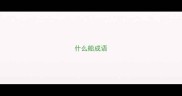 什么船成语