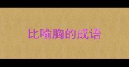 比喻胸的成语