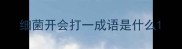 细菌开会打一成语是什么