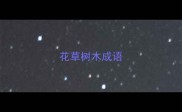 花草树木成语