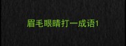 眉毛眼睛打一成语