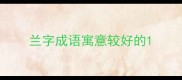 兰字成语寓意较好的