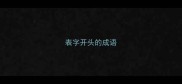 表字开头的成语