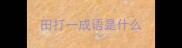 田打一成语是什么