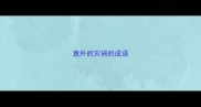 意外的灾祸的成语
