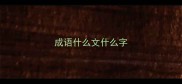 成语什么文什么字