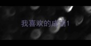 我喜欢的成语