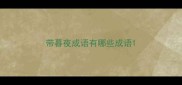 带暮夜成语有哪些成语