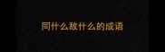 同什么敌什么的成语