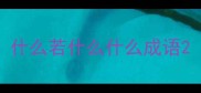 什么若什么什么成语