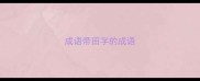 成语带田字的成语