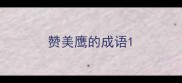 赞美鹰的成语