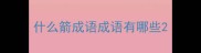 什么箭成语成语有哪些