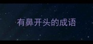 有鼻开头的成语