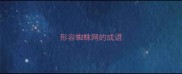 形容蜘蛛网的成语