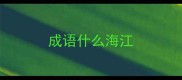 成语什么海江