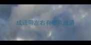 成语带左右有哪些成语