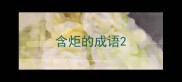 含炬的成语