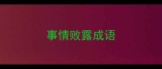 事情败露成语
