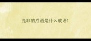 是非的成语是什么成语