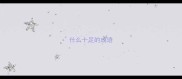 什么十足的成语