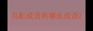 鸟影成语有哪些成语