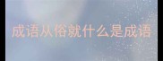 成语从俗就什么是成语