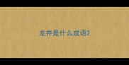 龙井是什么成语