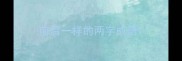 前后一样的两字成语