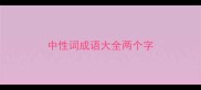 中性词成语大全两个字