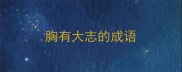 胸有大志的成语