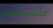 知道却不说出来的成语