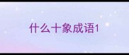 什么十象成语