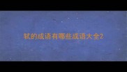 轼的成语有哪些成语大全